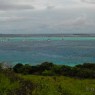 Petit Rameau Tobago Cays Grenadine - catamarani noleggio Antille - © Galliano